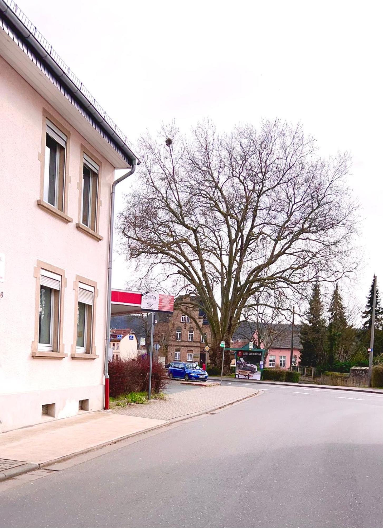 Vinaring Homestay Bad Sobernheim Exterior foto
